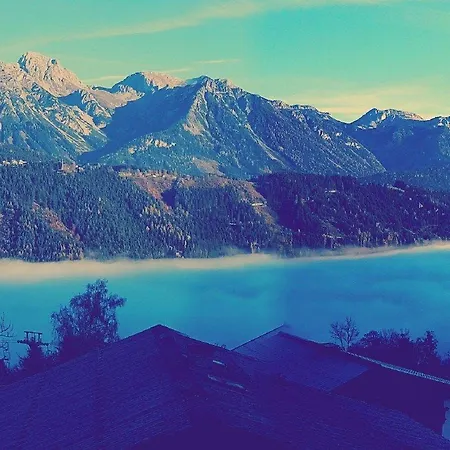 Pariente 슈라드밍