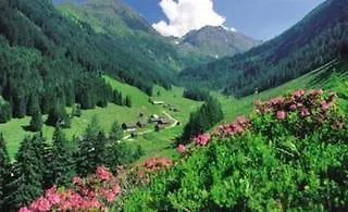 Pariente 3* 슈라드밍