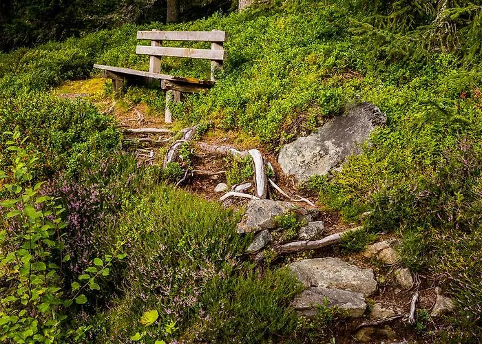 Pariente Ξενοδοχείο 3*